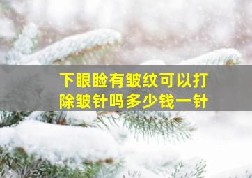 下眼睑有皱纹可以打除皱针吗多少钱一针