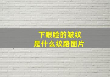 下眼睑的皱纹是什么纹路图片