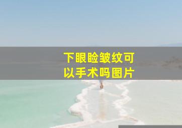 下眼睑皱纹可以手术吗图片