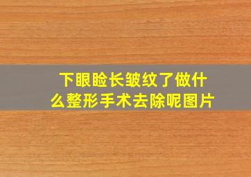 下眼睑长皱纹了做什么整形手术去除呢图片