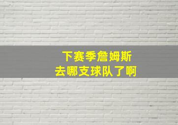 下赛季詹姆斯去哪支球队了啊