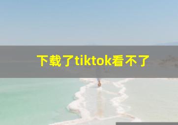 下载了tiktok看不了