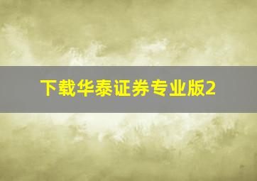 下载华泰证券专业版2