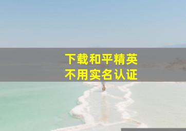 下载和平精英不用实名认证