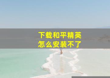 下载和平精英怎么安装不了