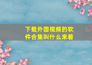 下载外国视频的软件合集叫什么来着