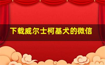 下载威尔士柯基犬的微信