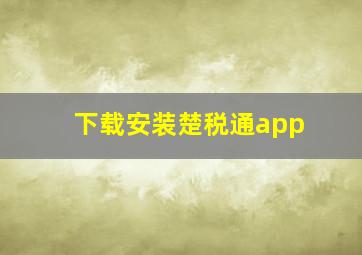 下载安装楚税通app