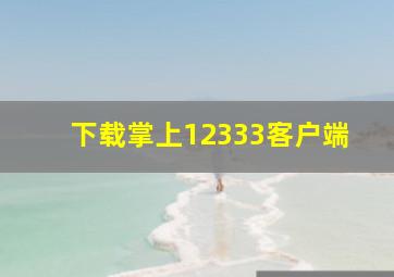 下载掌上12333客户端