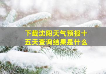 下载沈阳天气预报十五天查询结果是什么