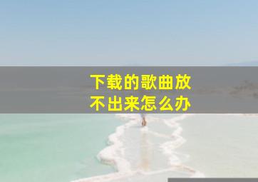 下载的歌曲放不出来怎么办