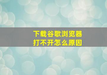 下载谷歌浏览器打不开怎么原因