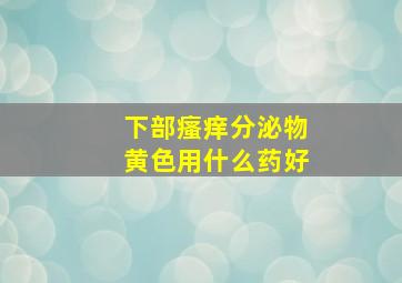 下部瘙痒分泌物黄色用什么药好