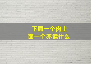 下面一个肉上面一个亦读什么