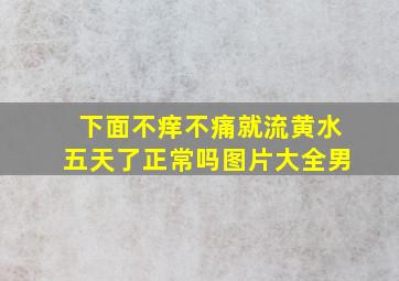 下面不痒不痛就流黄水五天了正常吗图片大全男