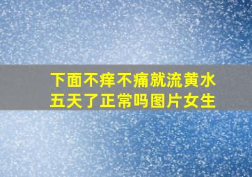 下面不痒不痛就流黄水五天了正常吗图片女生