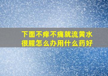 下面不痒不痛就流黄水很腥怎么办用什么药好