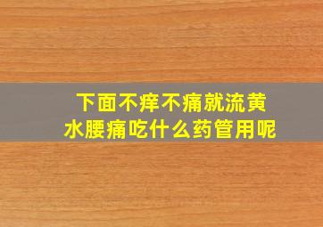 下面不痒不痛就流黄水腰痛吃什么药管用呢