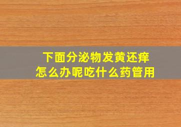 下面分泌物发黄还痒怎么办呢吃什么药管用