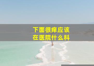 下面很痒应该在医院什么科