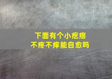 下面有个小疙瘩不疼不痒能自愈吗