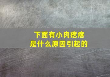 下面有小肉疙瘩是什么原因引起的