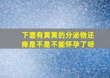 下面有黄黄的分泌物还痒是不是不能怀孕了呀