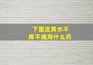 下面流黄水不痒不痛用什么药