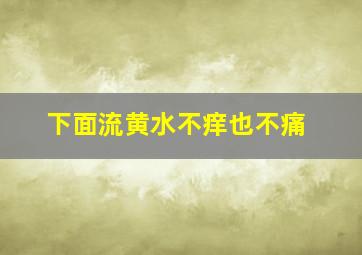 下面流黄水不痒也不痛