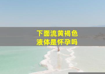 下面流黄褐色液体是怀孕吗