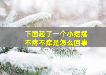 下面起了一个小疙瘩不疼不痒是怎么回事