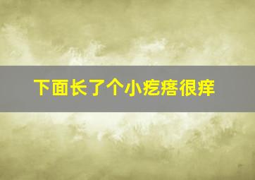 下面长了个小疙瘩很痒