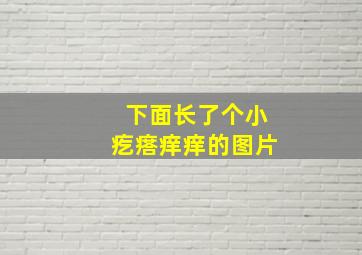 下面长了个小疙瘩痒痒的图片