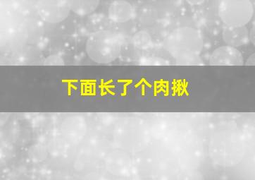 下面长了个肉揪