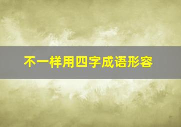 不一样用四字成语形容