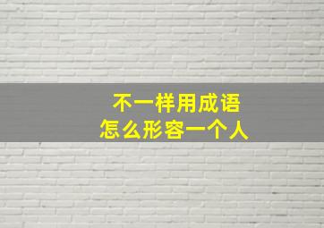 不一样用成语怎么形容一个人