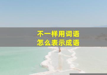 不一样用词语怎么表示成语