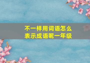 不一样用词语怎么表示成语呢一年级