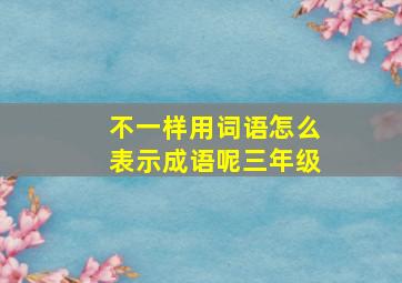 不一样用词语怎么表示成语呢三年级