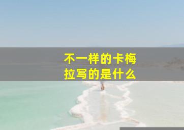 不一样的卡梅拉写的是什么