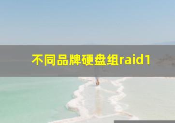 不同品牌硬盘组raid1