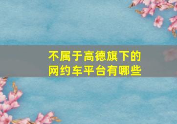 不属于高德旗下的网约车平台有哪些