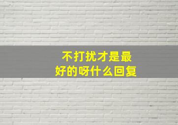 不打扰才是最好的呀什么回复