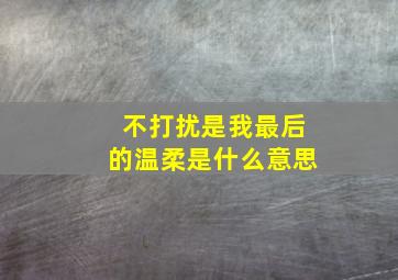 不打扰是我最后的温柔是什么意思