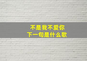 不是我不爱你下一句是什么歌