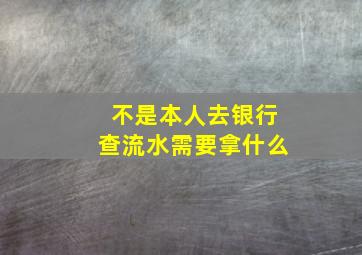 不是本人去银行查流水需要拿什么