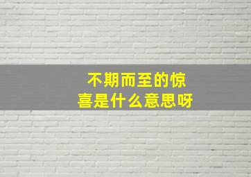 不期而至的惊喜是什么意思呀