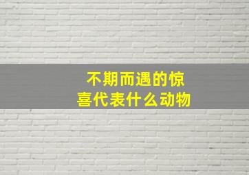 不期而遇的惊喜代表什么动物