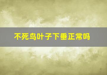 不死鸟叶子下垂正常吗