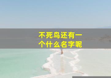 不死鸟还有一个什么名字呢